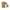 gid://shopify/Product/9874554618184_1