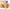 gid://shopify/Product/9873491394888_1