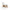 gid://shopify/Product/9874324095304_1