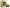 gid://shopify/Product/9874616910152_1