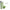 gid://shopify/Product/9874031706440_1