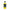 gid://shopify/Product/9874711904584_1