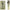 gid://shopify/Product/9874533777736_1
